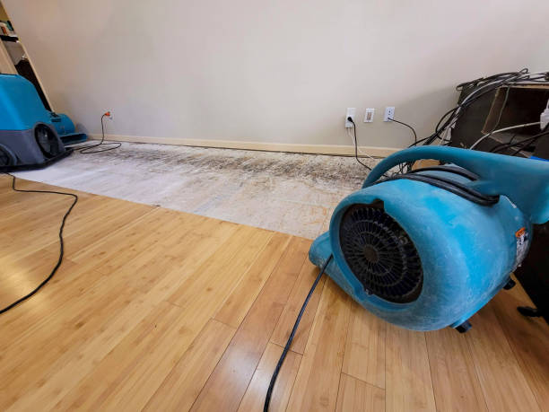 Professional Water Removal technician working in East Longmeadow, MA